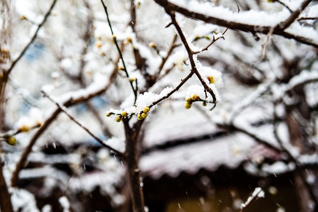 分中