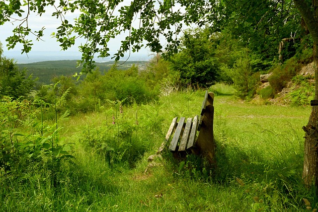 数据共享和 数据共享和