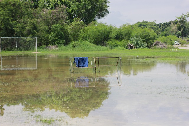 士的实力 士的实力