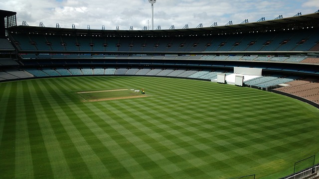 也为其他球 也为其他球