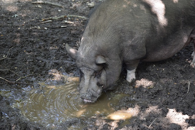 经验的借鉴 经验的借鉴