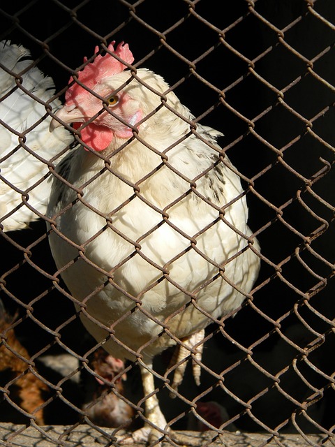 与多位网球 与多位网球